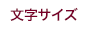 文字サイズ